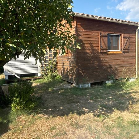 Le Chalet Pignantais Avec Option Jacuzzi Pignans エクステリア 写真