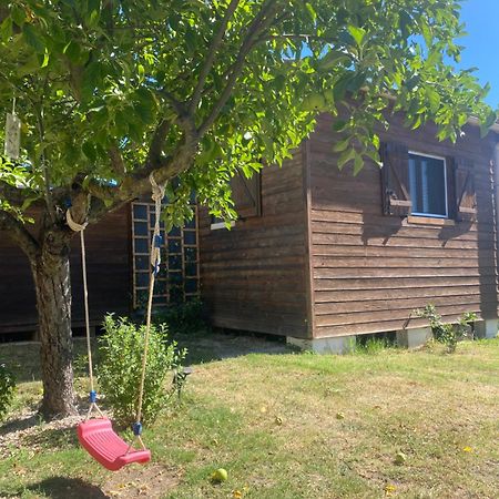 Le Chalet Pignantais Avec Option Jacuzzi Pignans エクステリア 写真